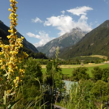 1. Pfundser Kräutertage im Tiroler Oberland